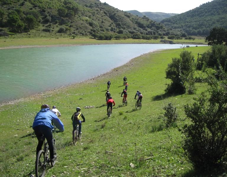 Mountain bike